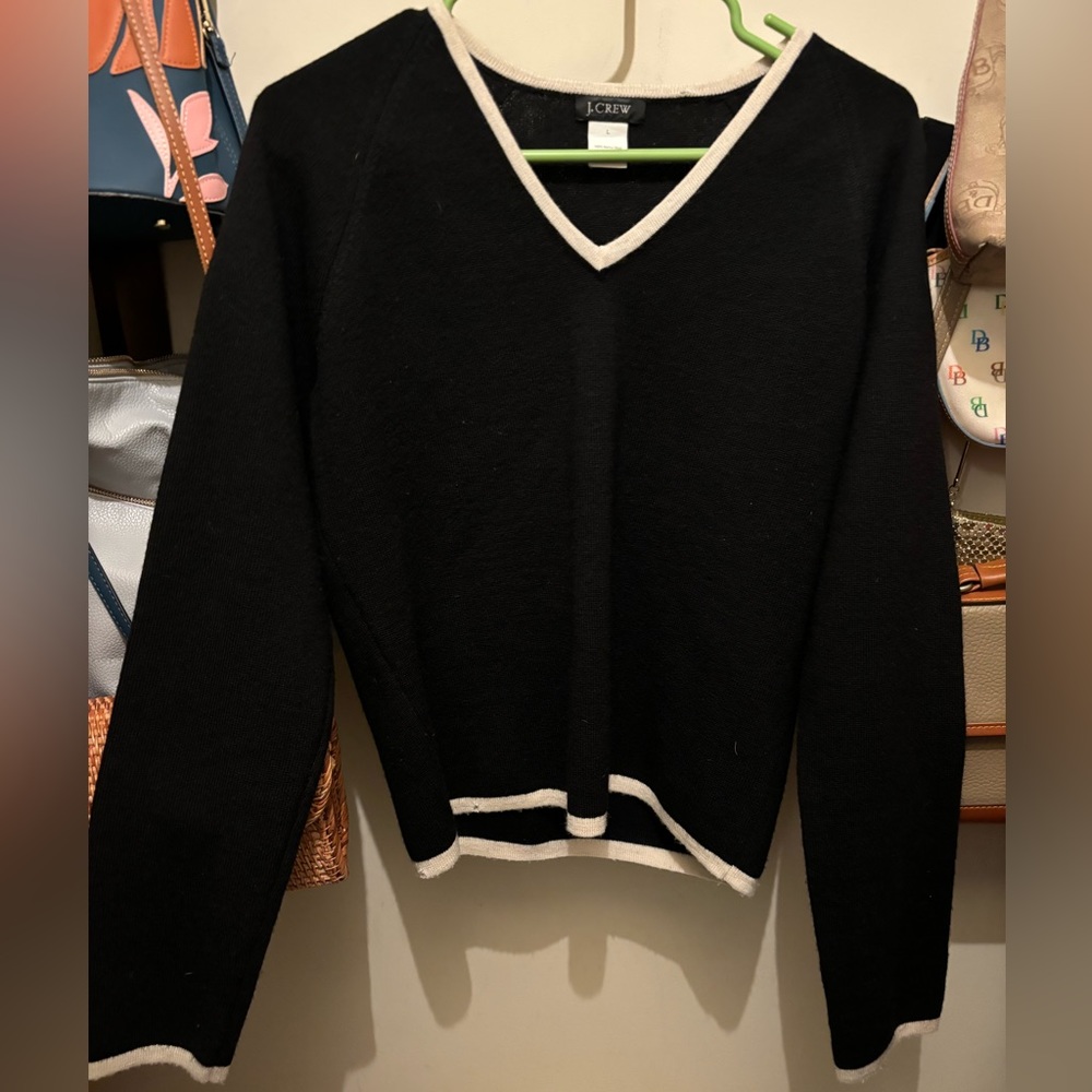 J.Crew 100% Merino Wool VNeck Sweater